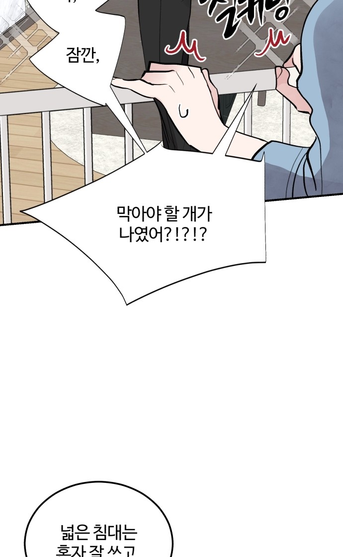 66 페이지
