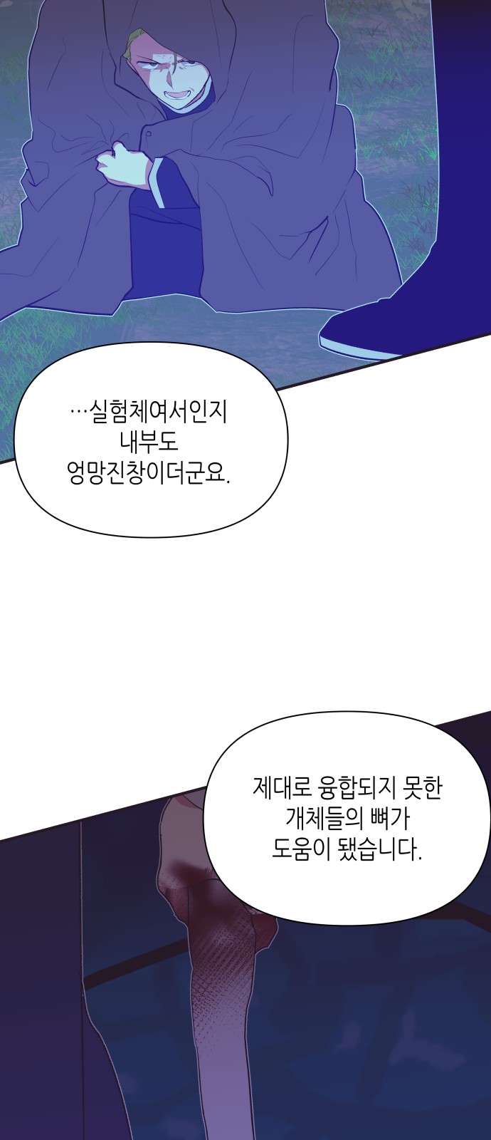 45 페이지