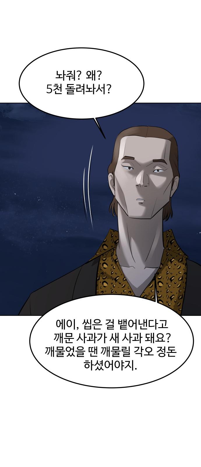 52 페이지