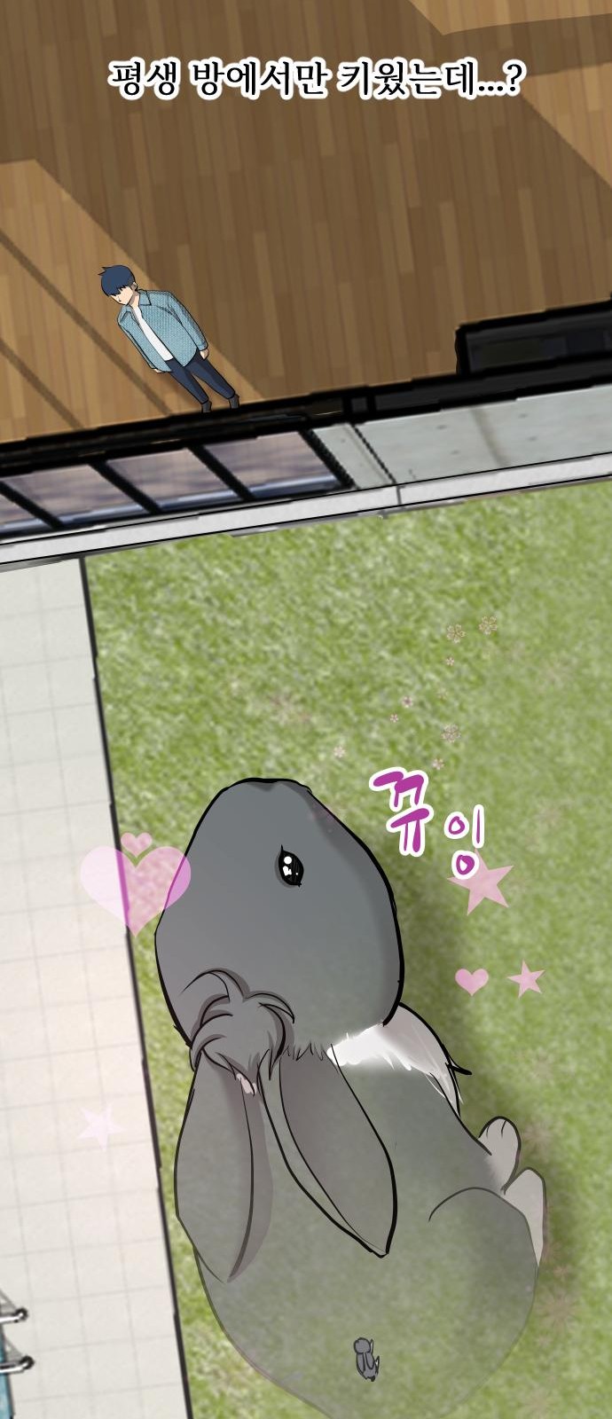 27 페이지