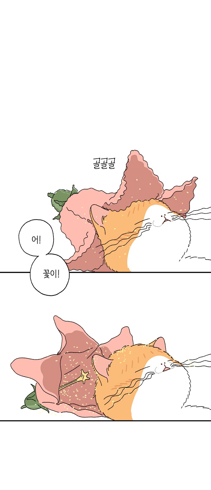 35 페이지