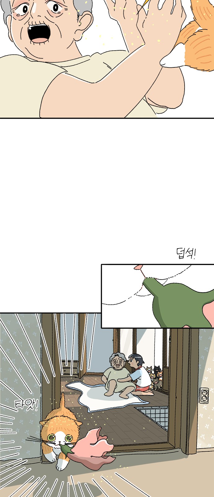 13 페이지
