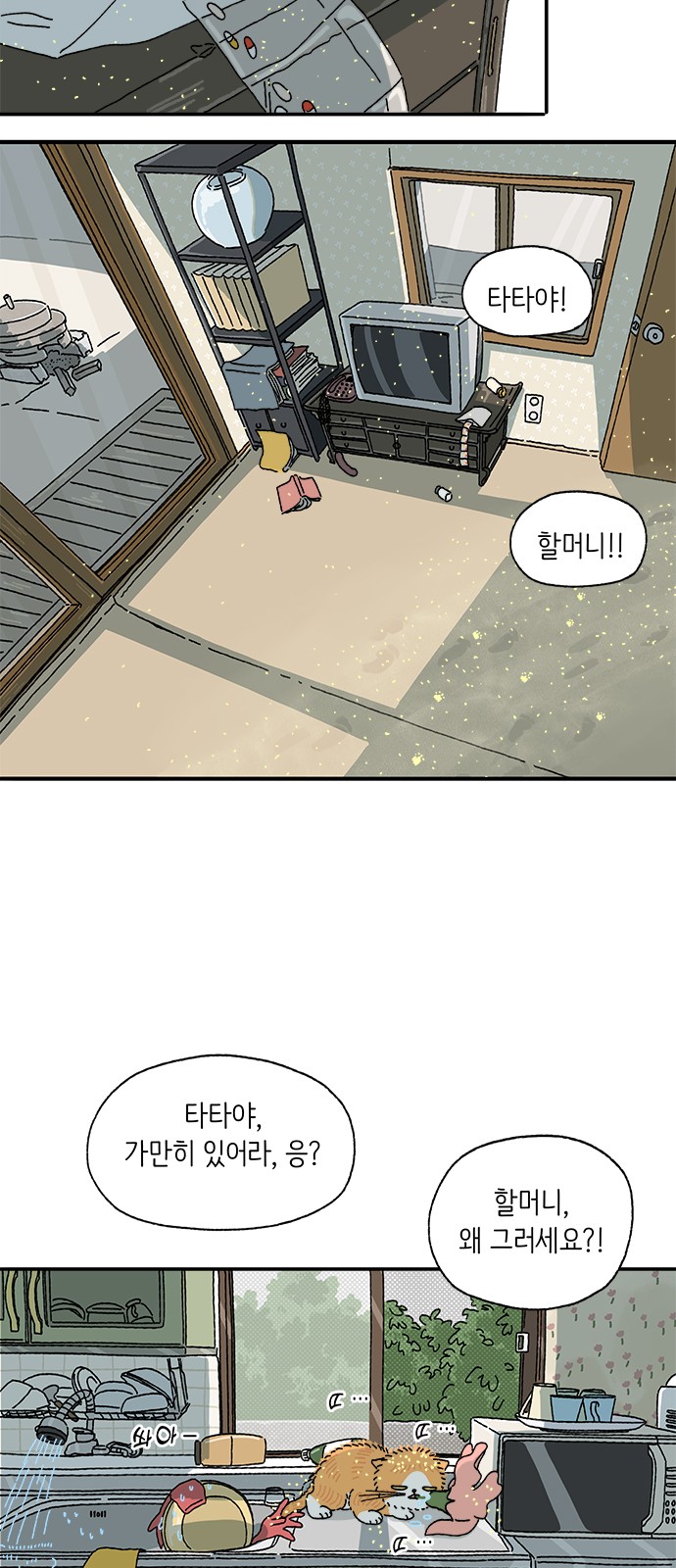 18 페이지