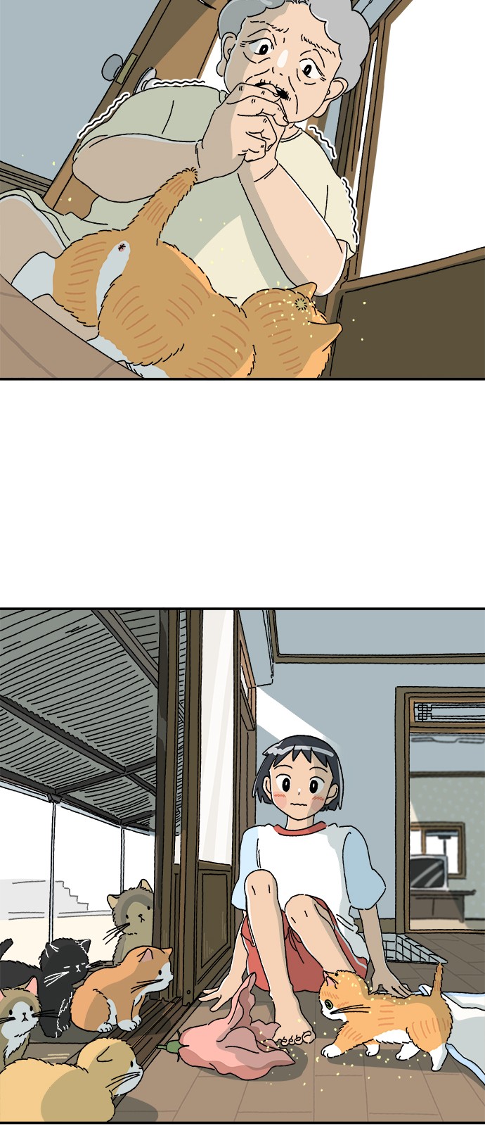 6 페이지