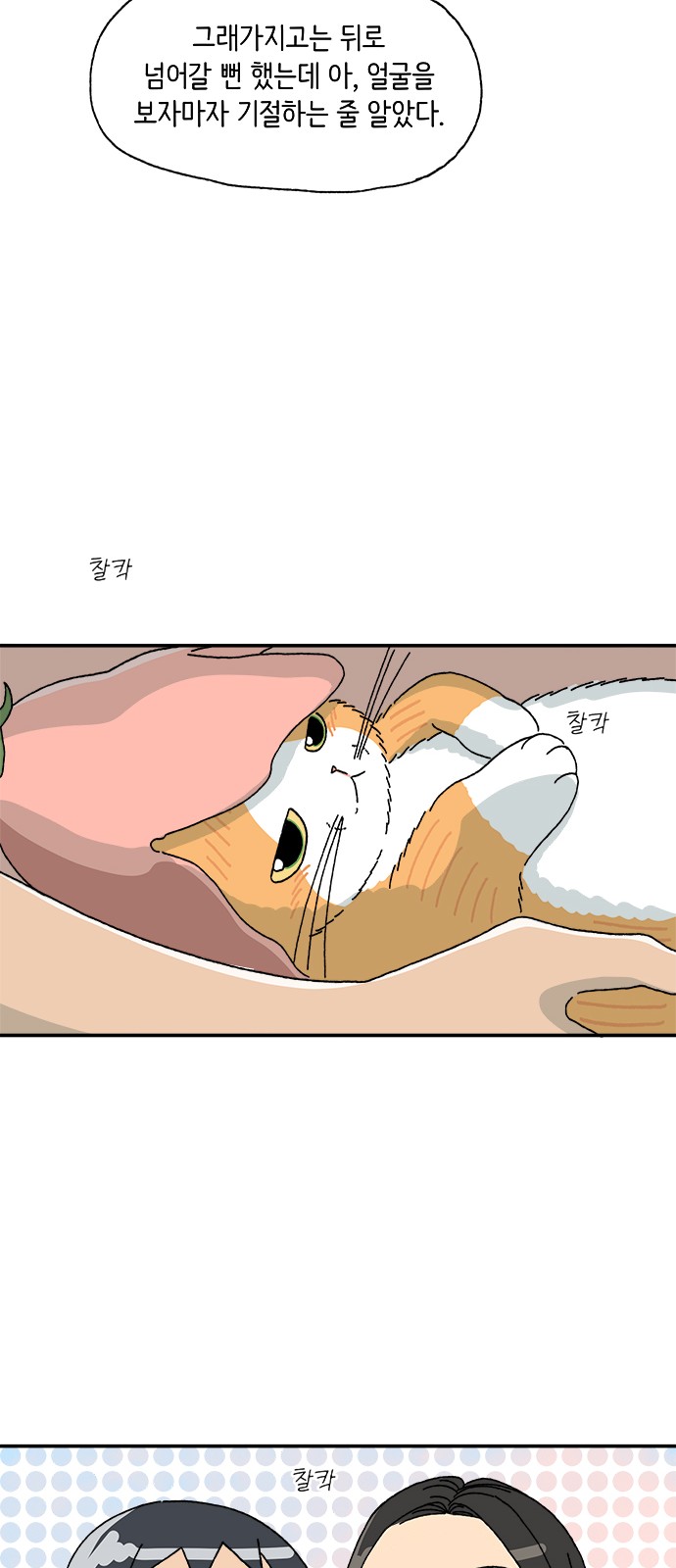 12 페이지