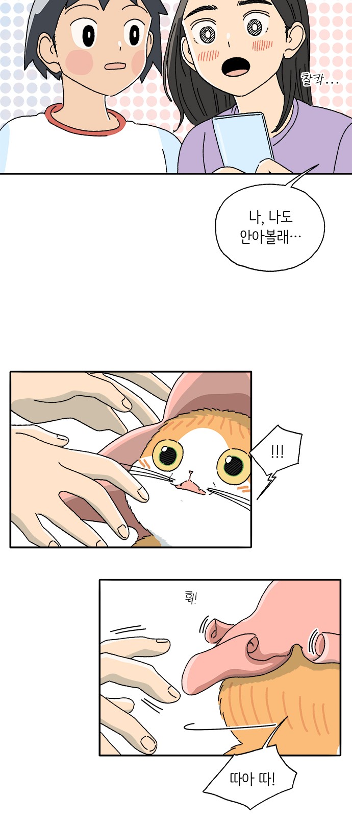 13 페이지