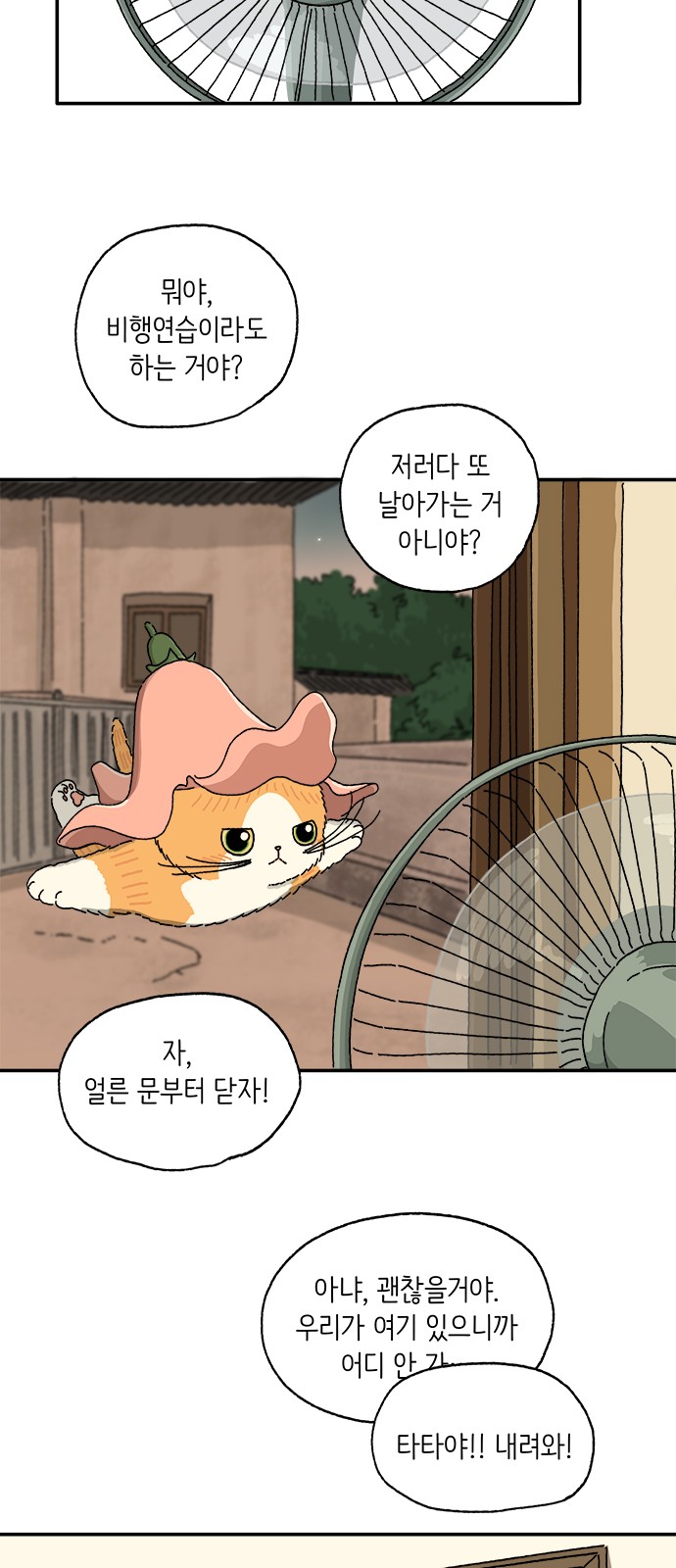 19 페이지