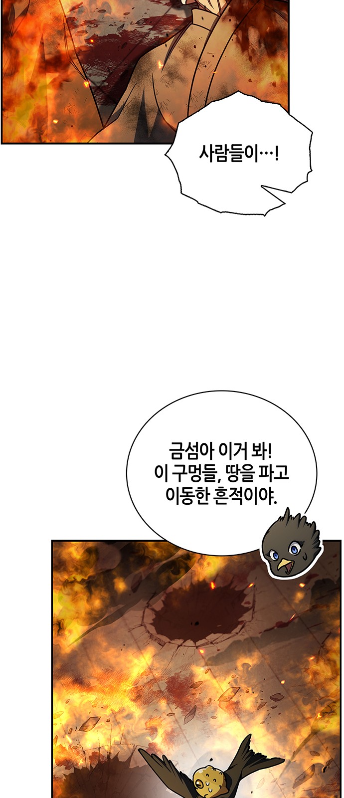 51 페이지
