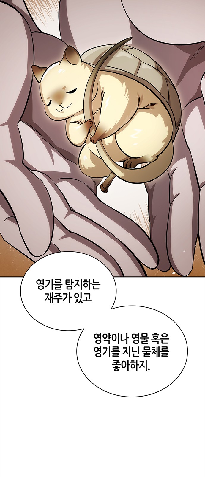 81 페이지