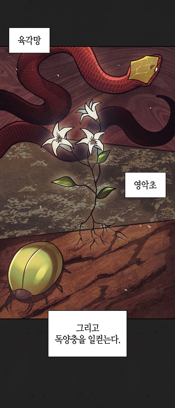 27 페이지