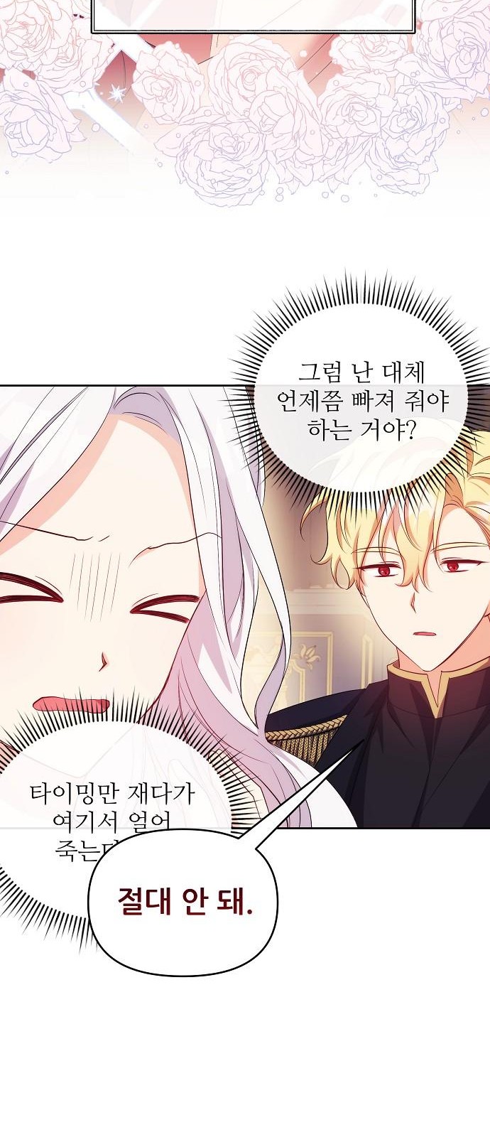 66 페이지