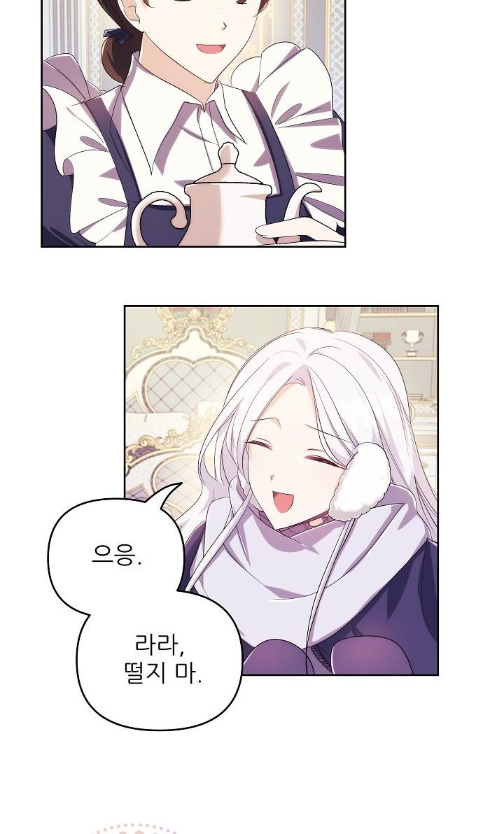 51 페이지