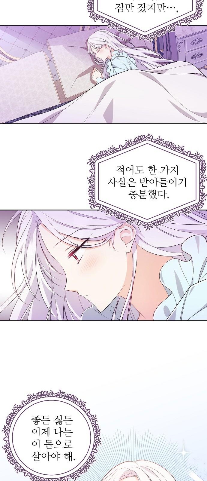 53 페이지