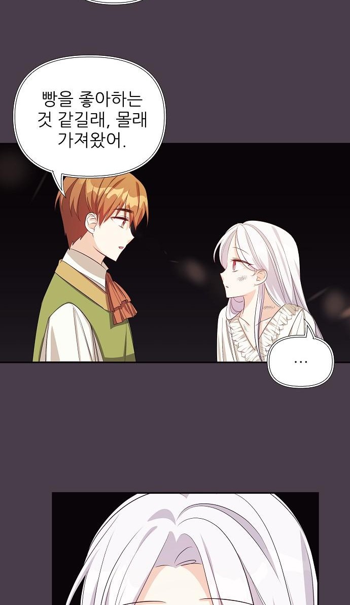 51 페이지