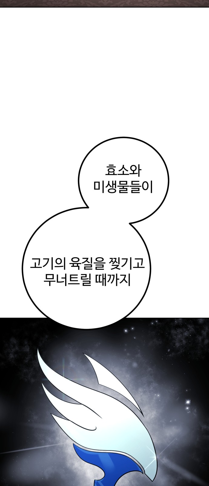 116 페이지