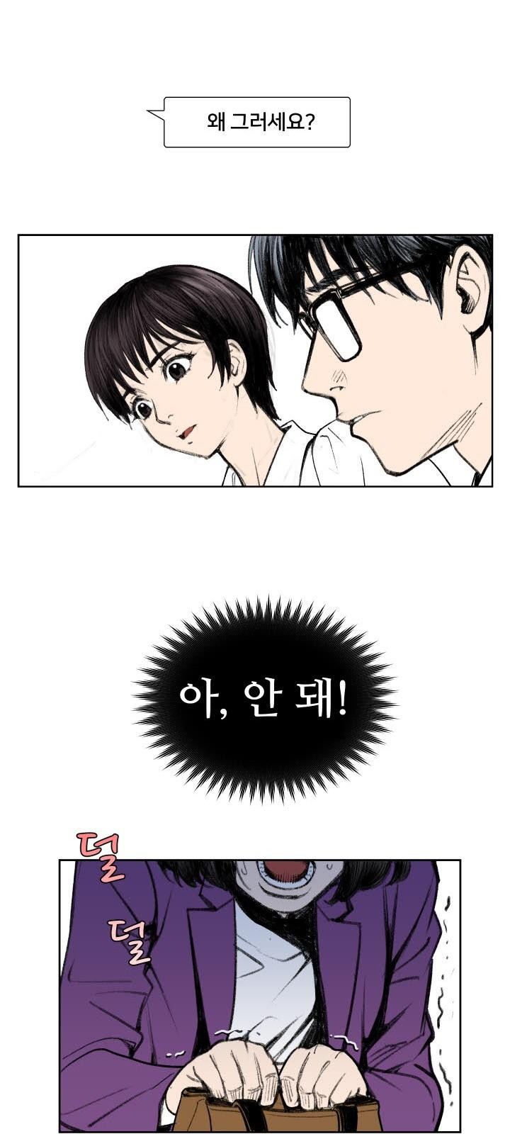 46 페이지