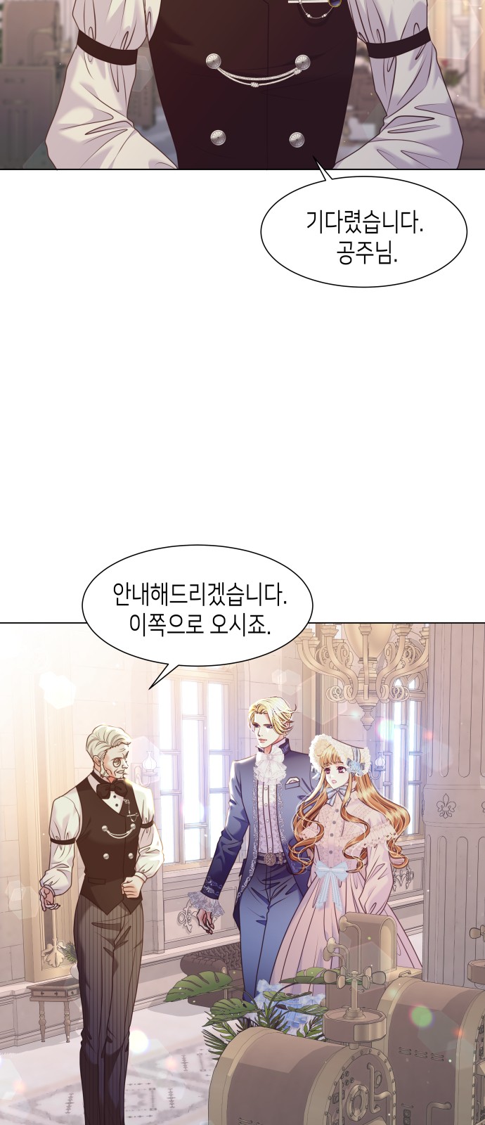 41 페이지