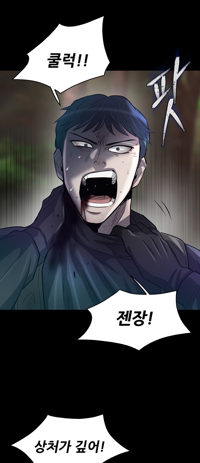 71 페이지