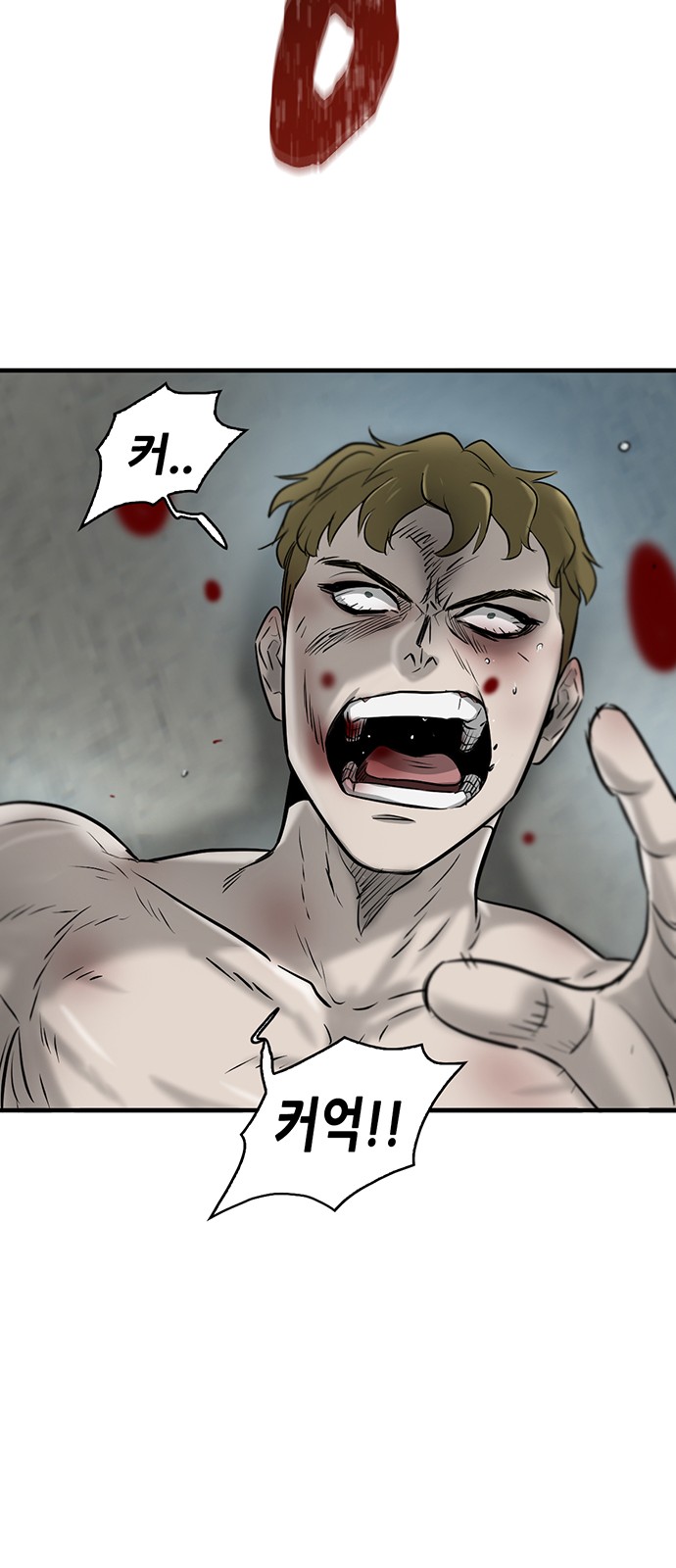 48 페이지