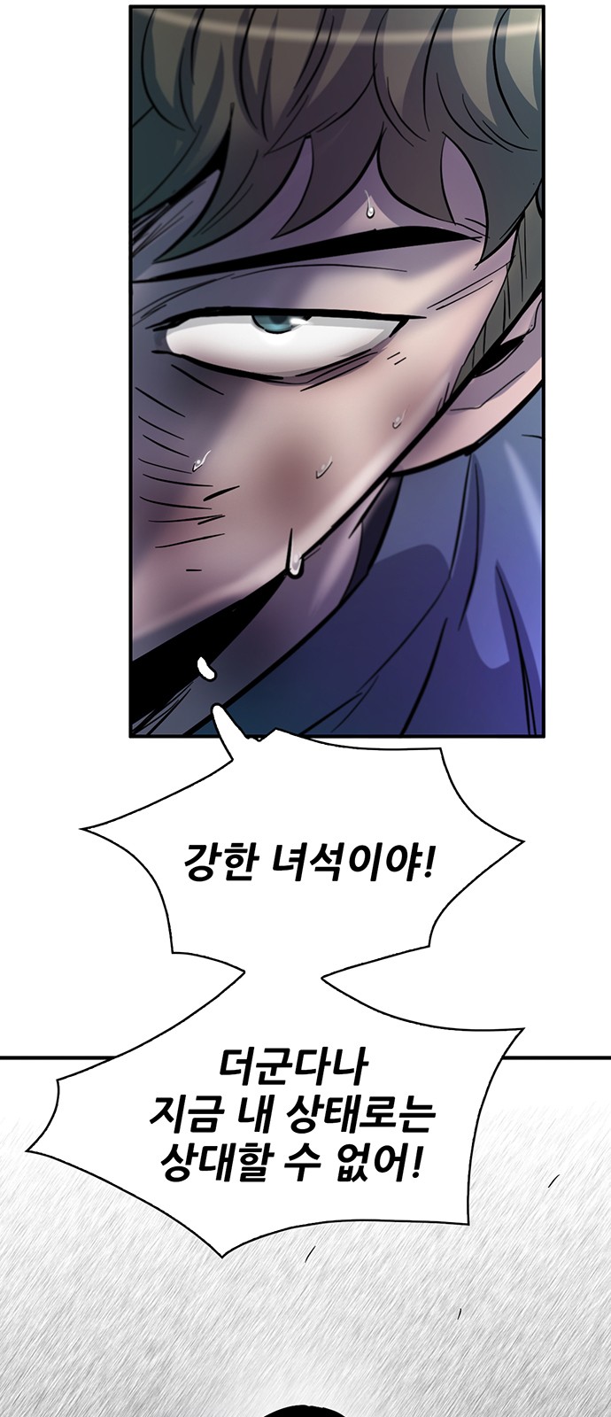 113 페이지