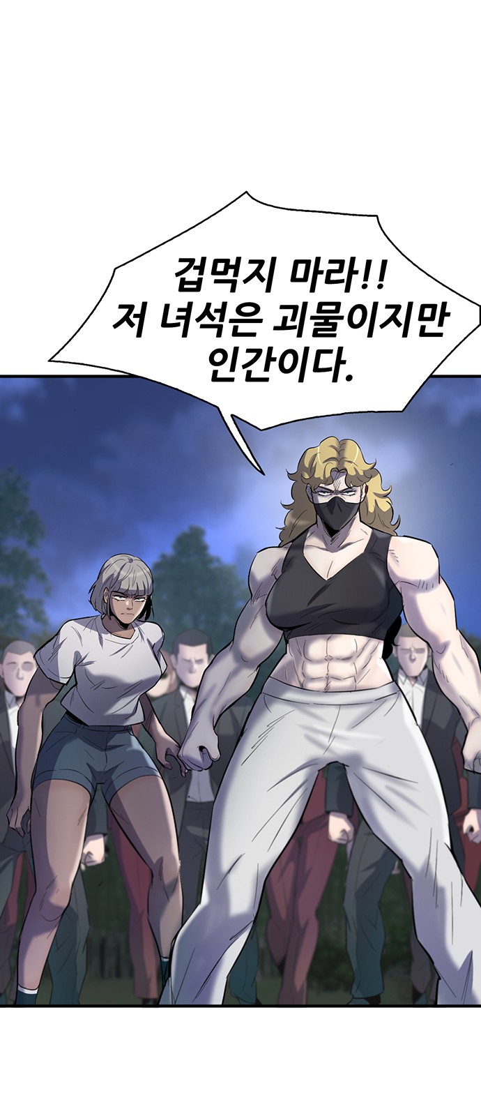 66 페이지