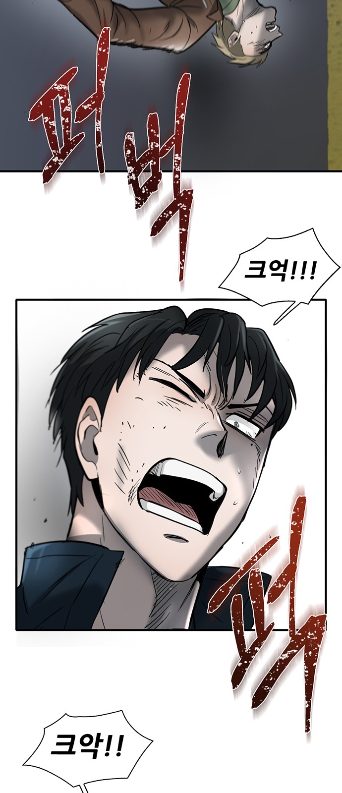 26 페이지