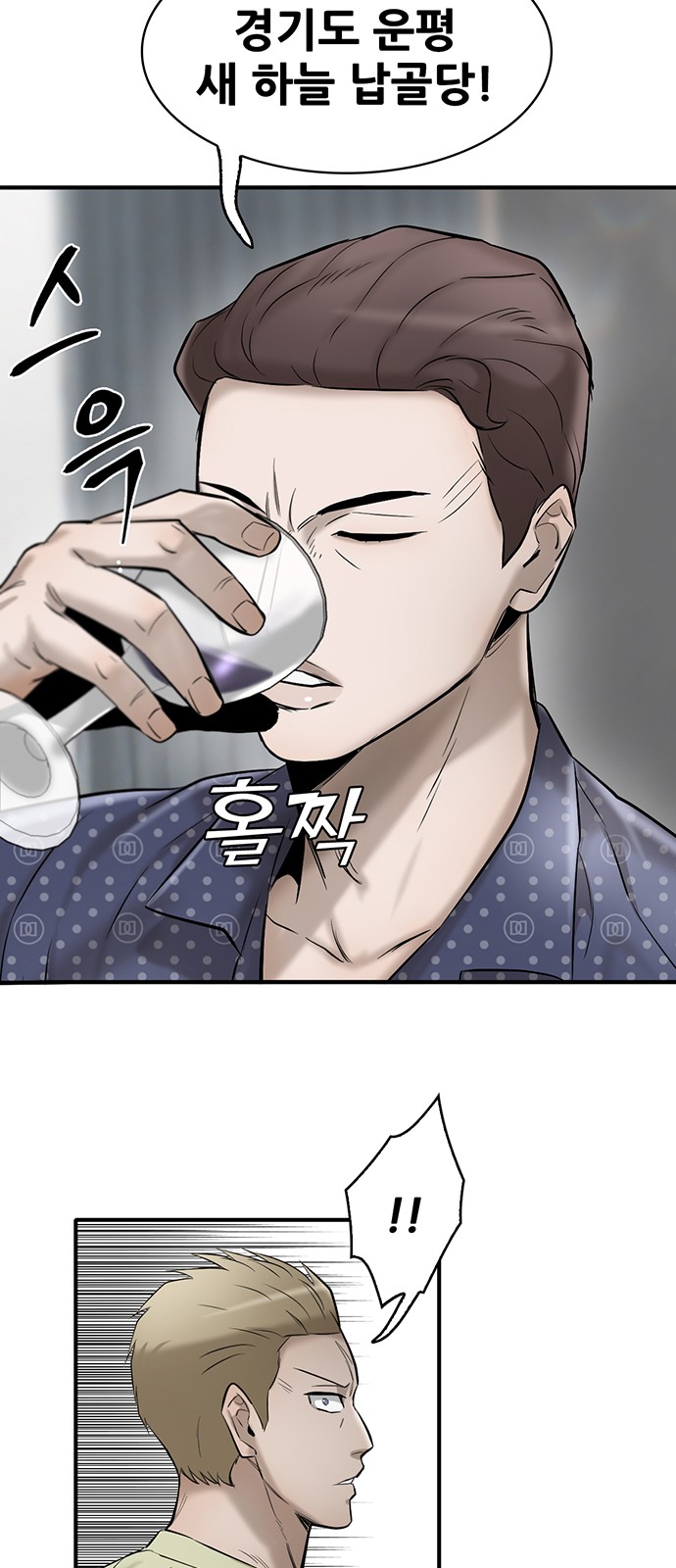 66 페이지