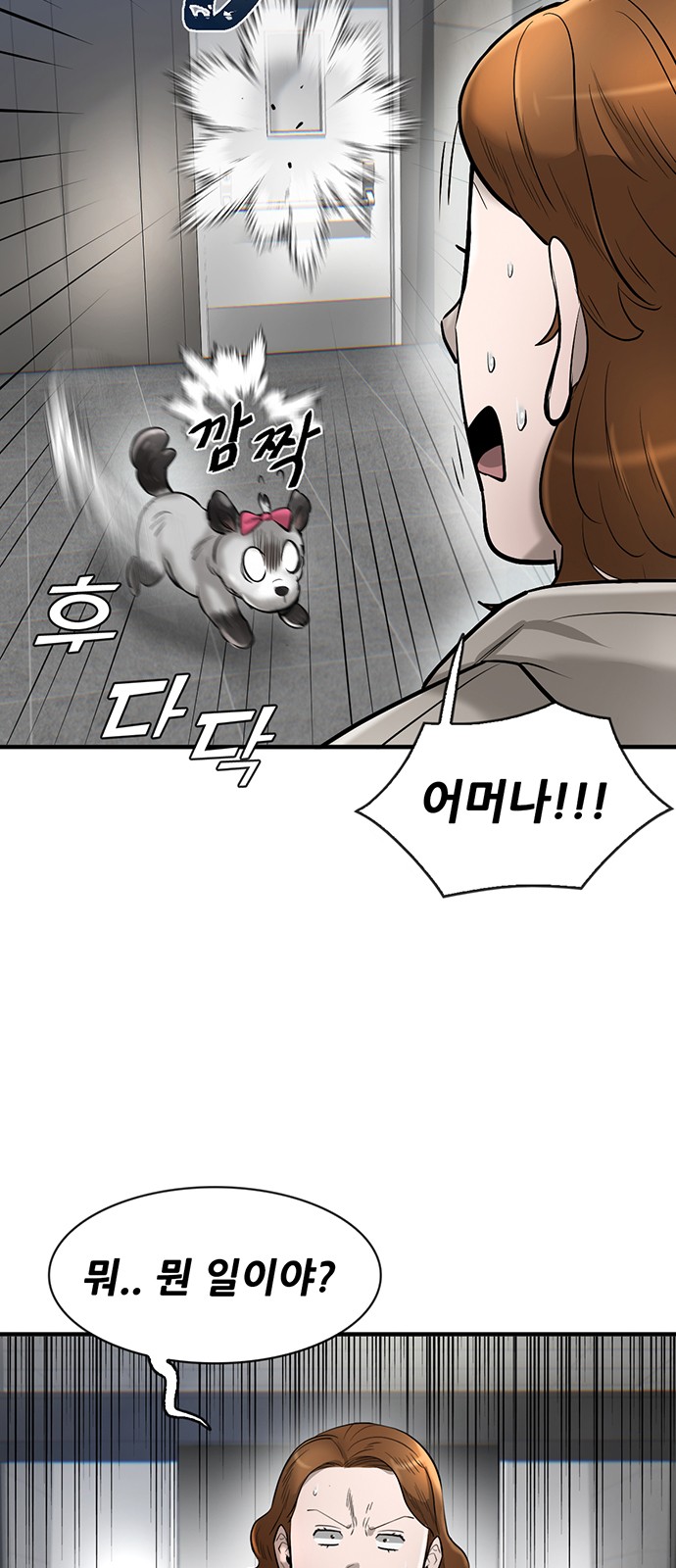 5 페이지