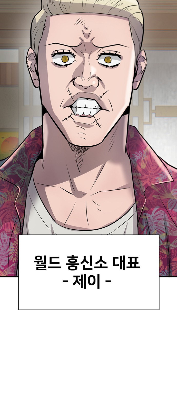 86 페이지
