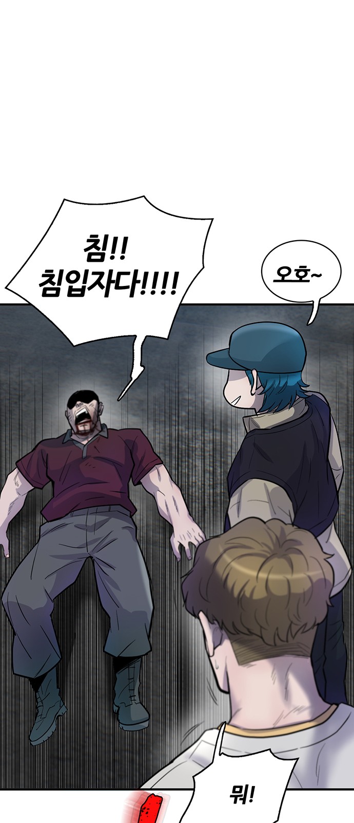52 페이지
