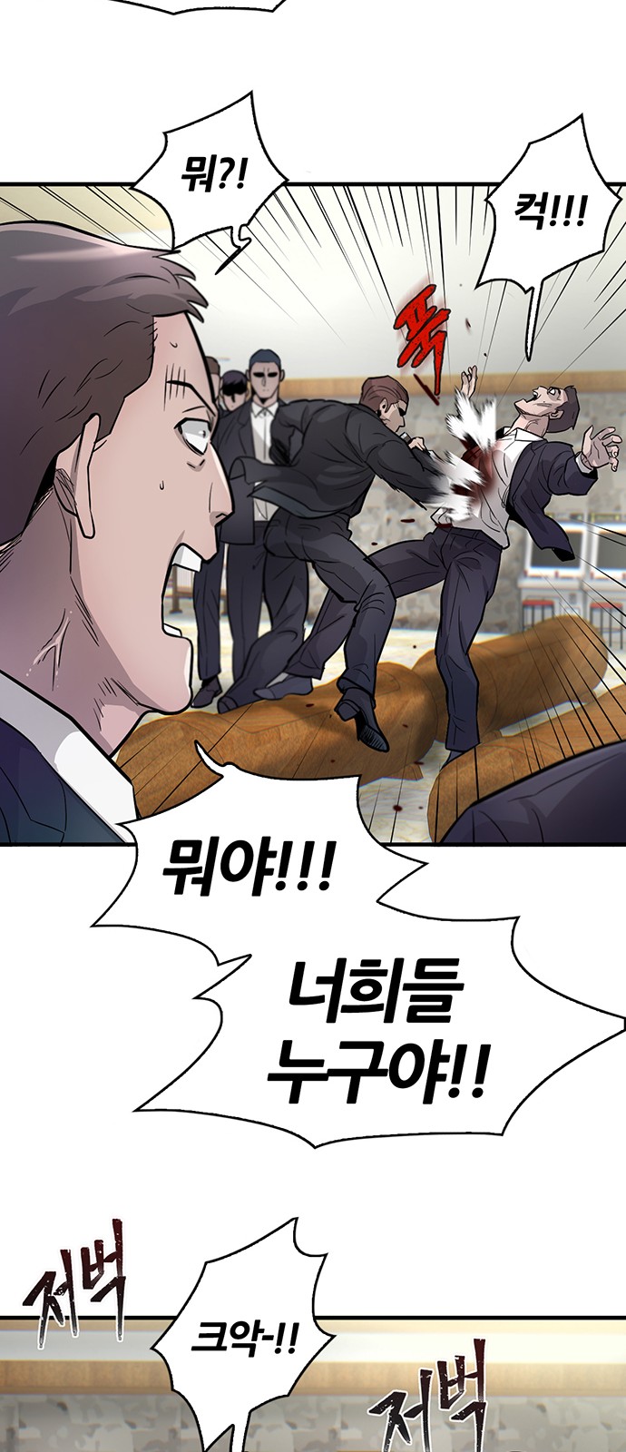 66 페이지