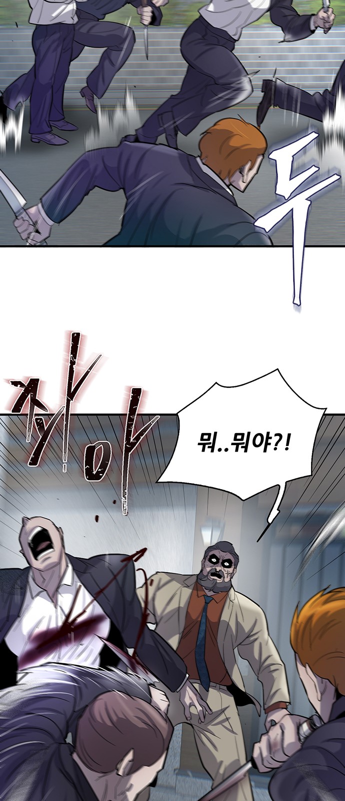 66 페이지