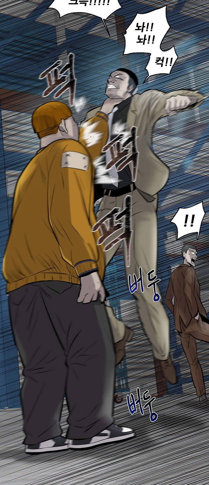 81 페이지