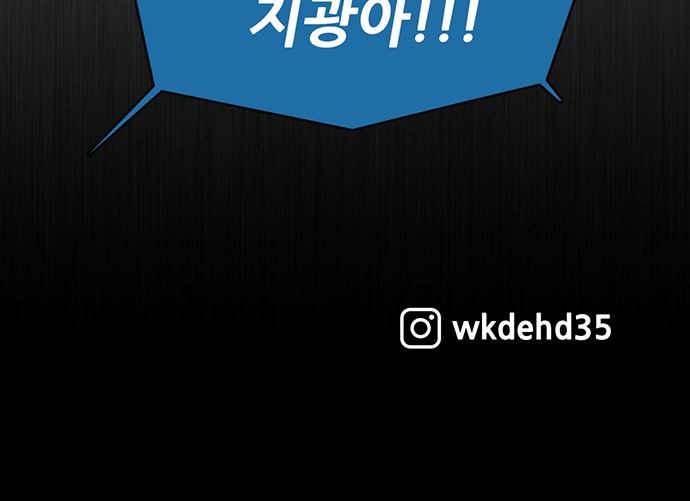 113 페이지