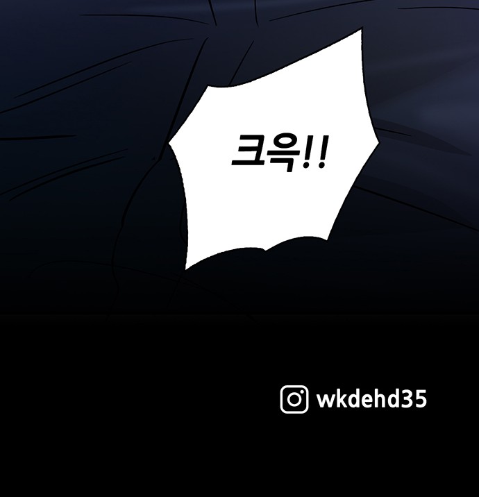 113 페이지