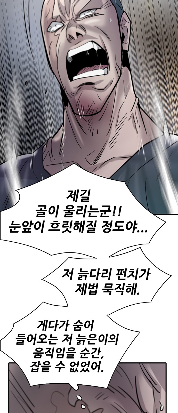 80 페이지