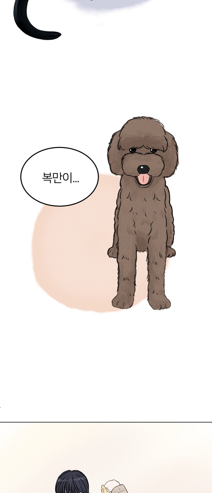 45 페이지