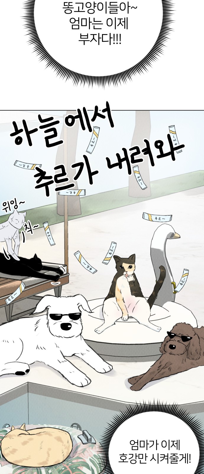 77 페이지