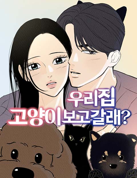 우리 집 고양이 보고 갈래?