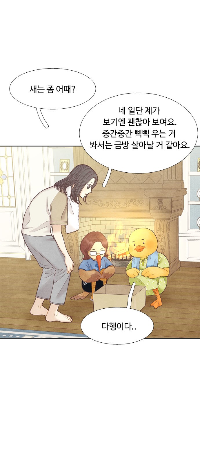 11 페이지