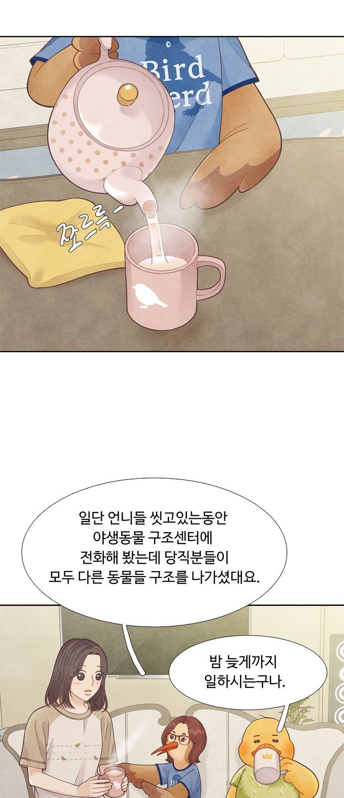 15 페이지