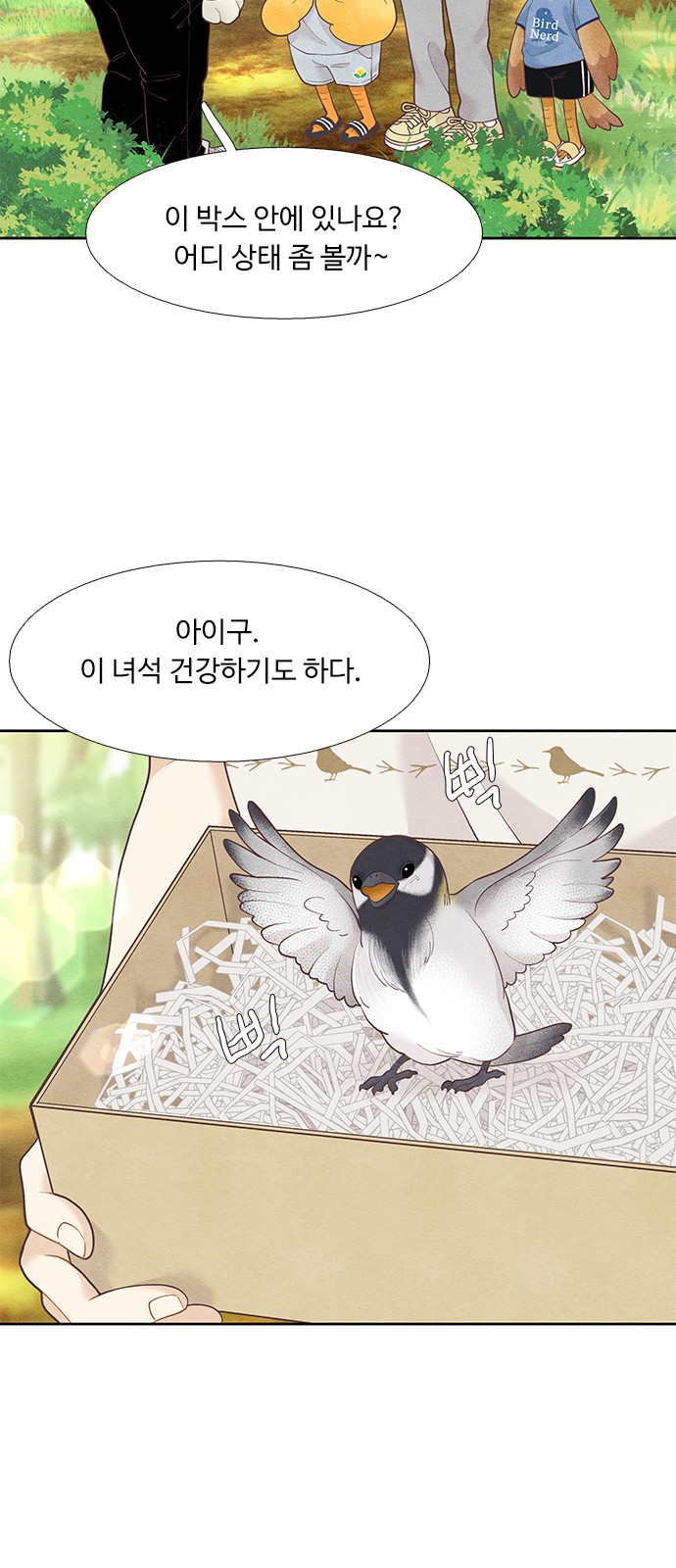 17 페이지