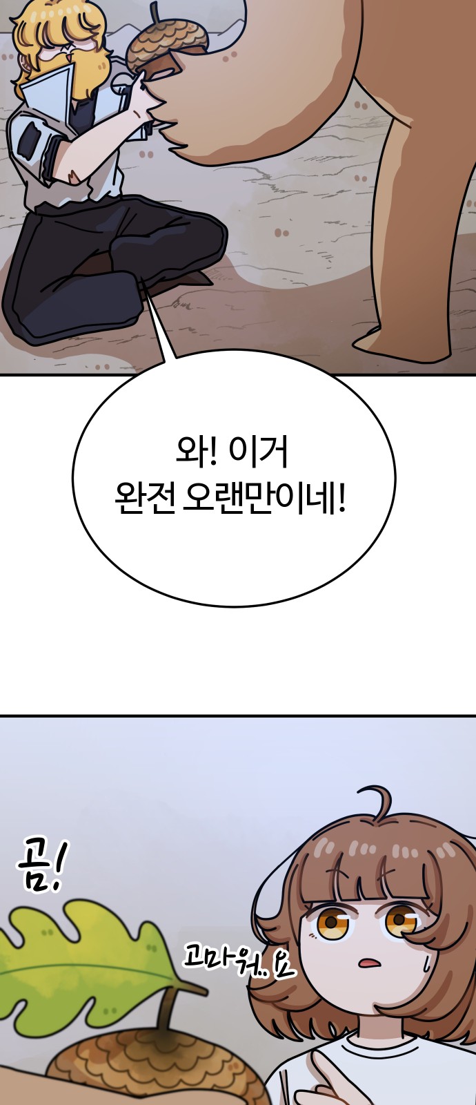 68 페이지
