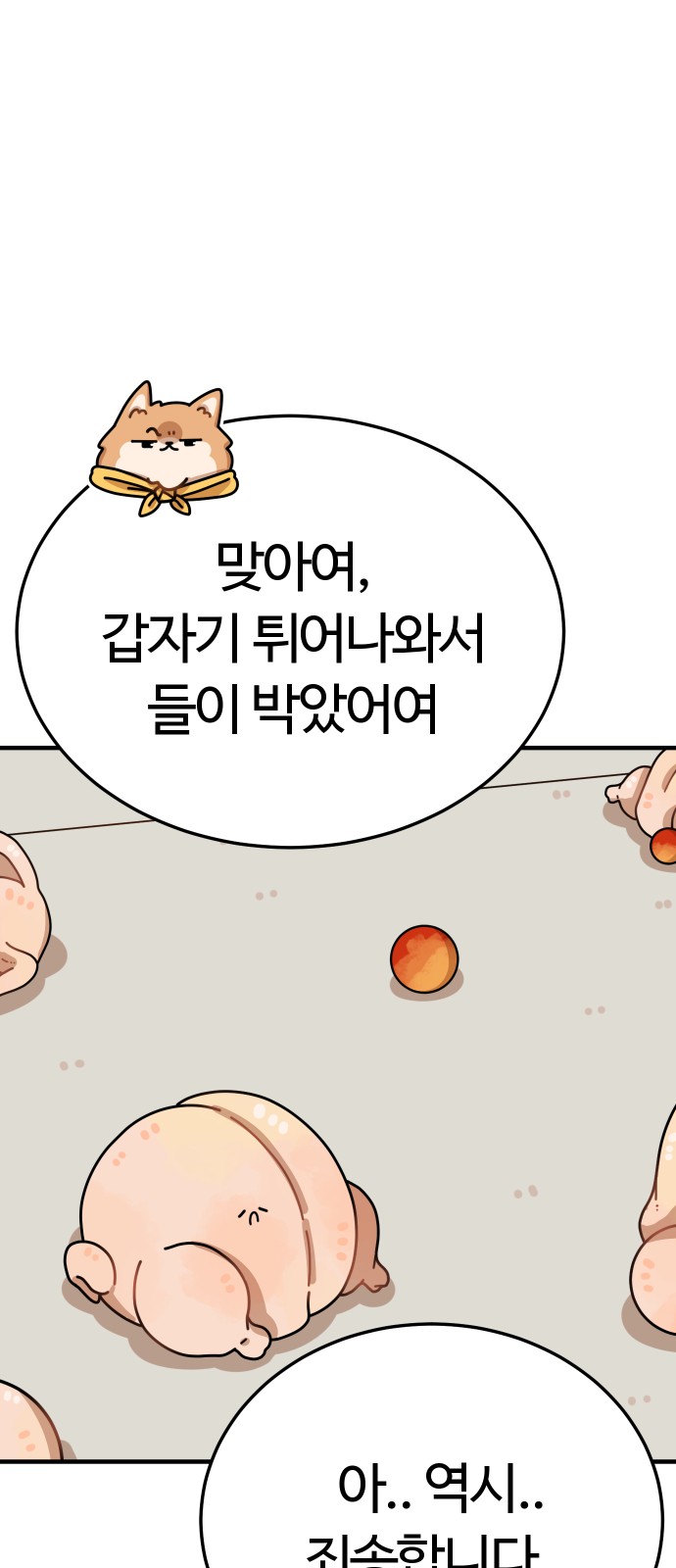 43 페이지