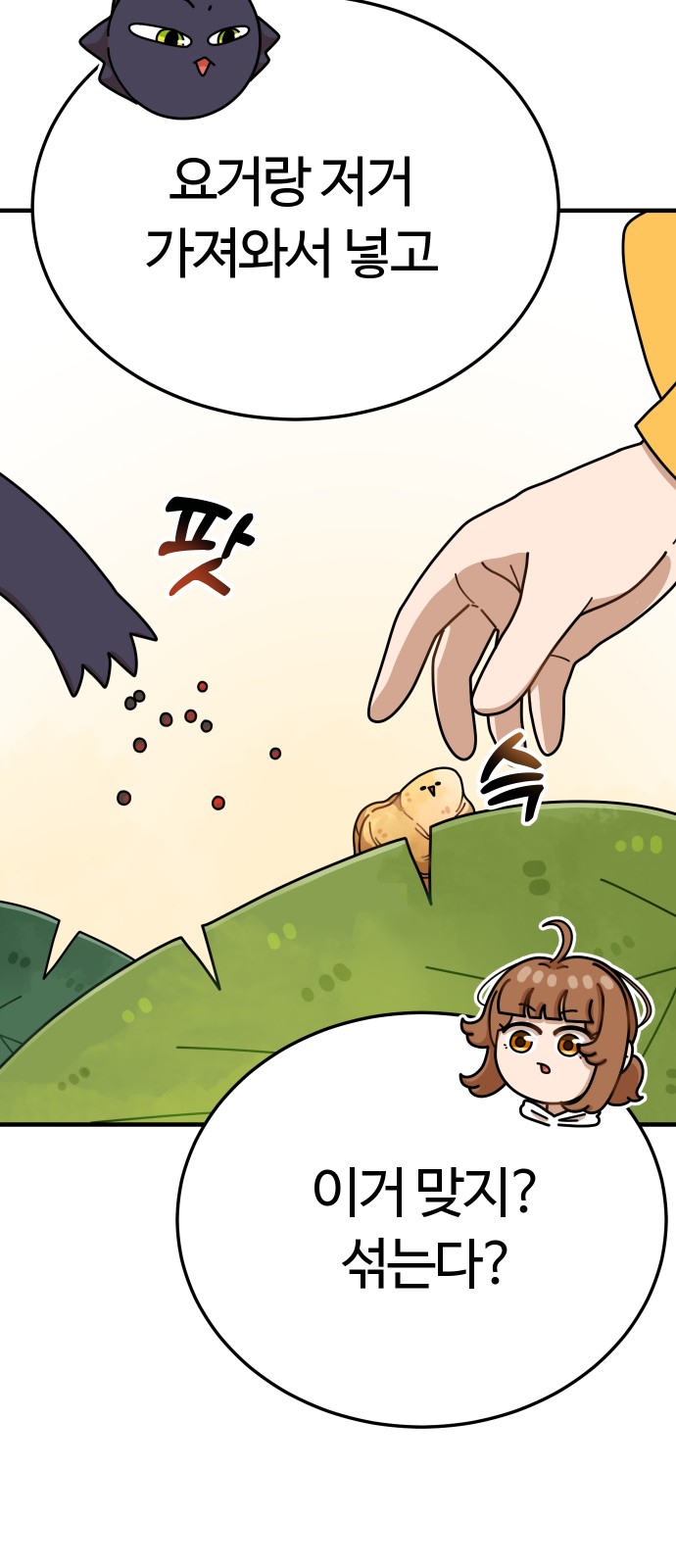 35 페이지