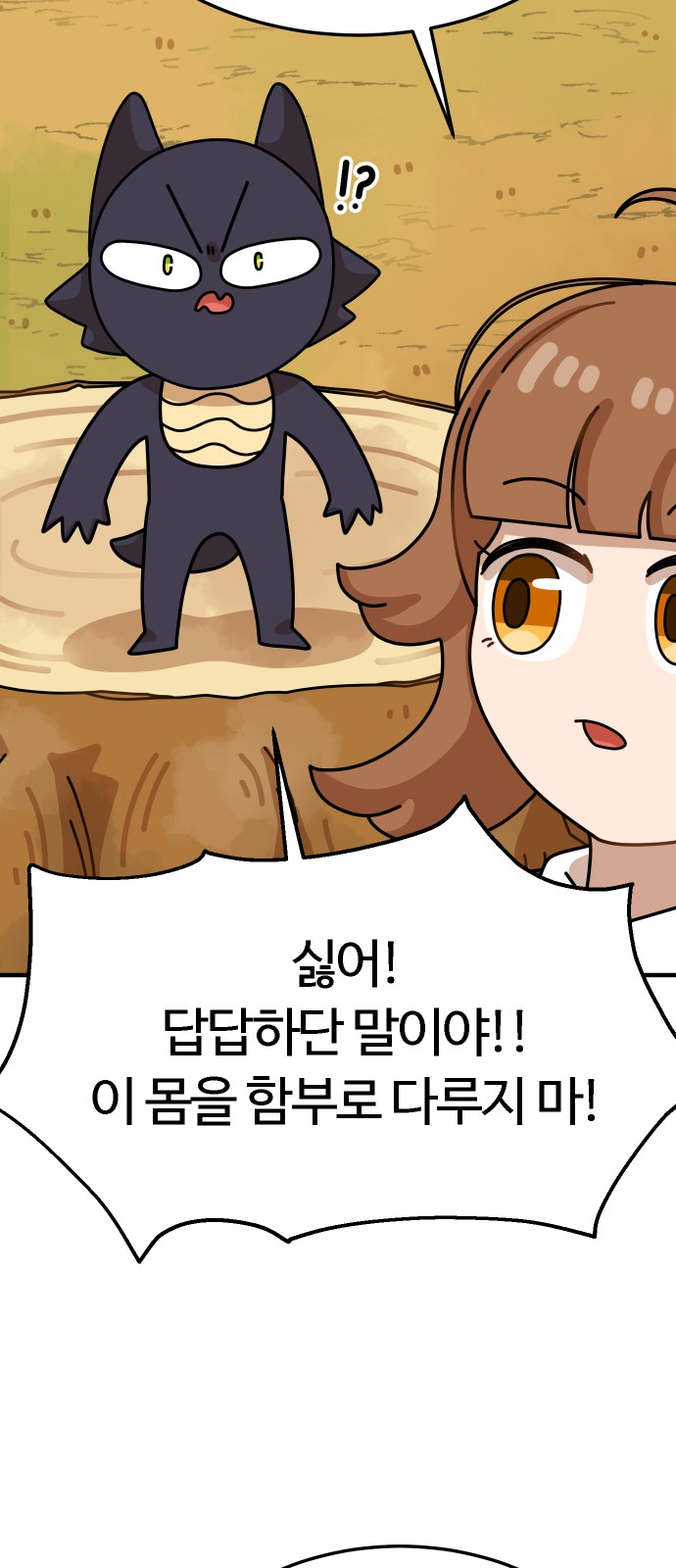 80 페이지