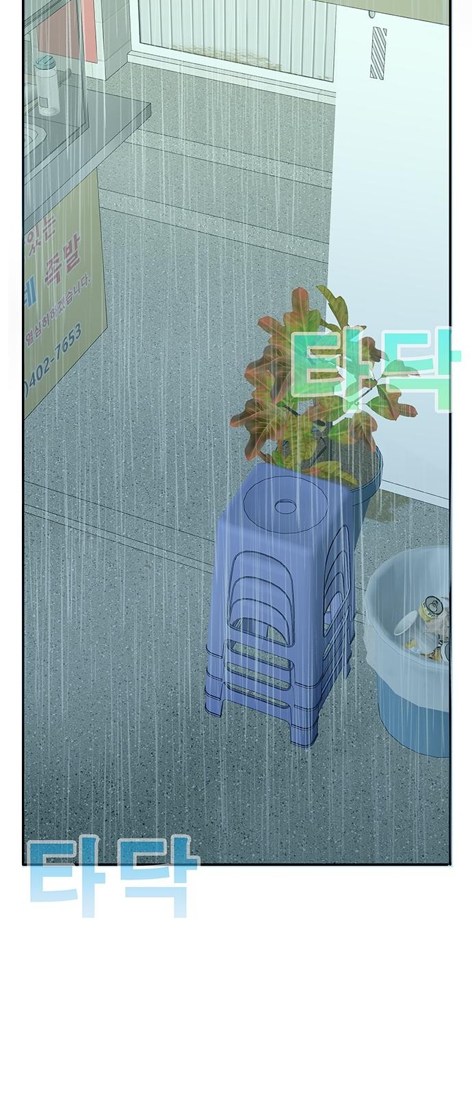 249 페이지