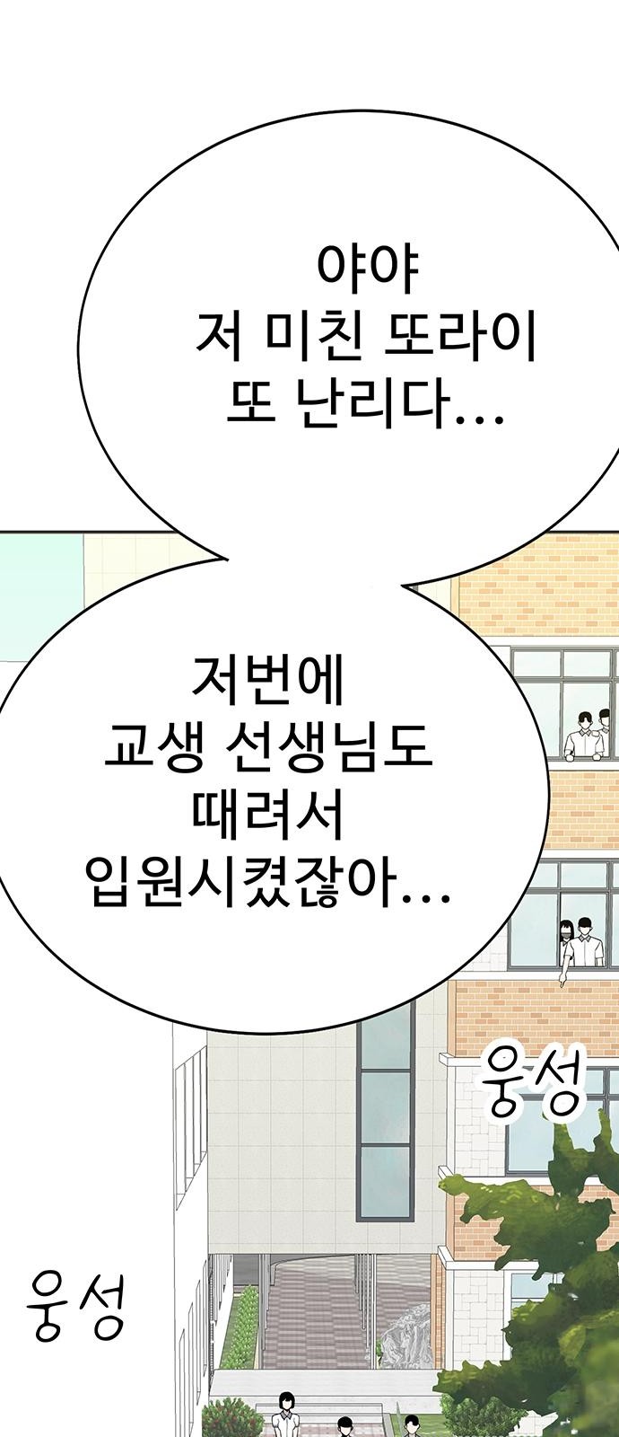 146 페이지