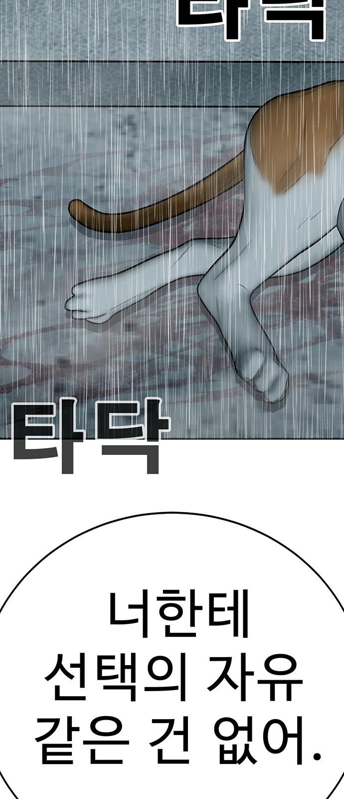 172 페이지