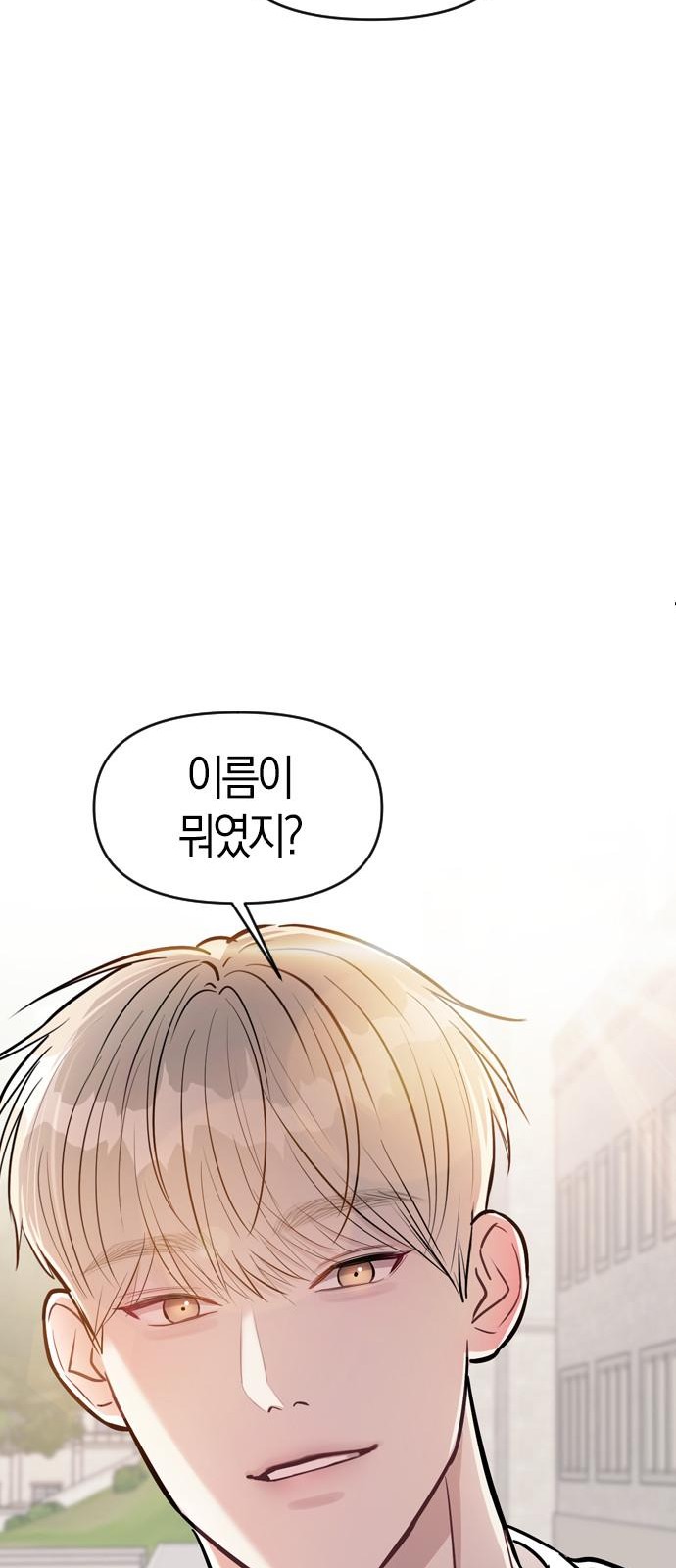 117 페이지